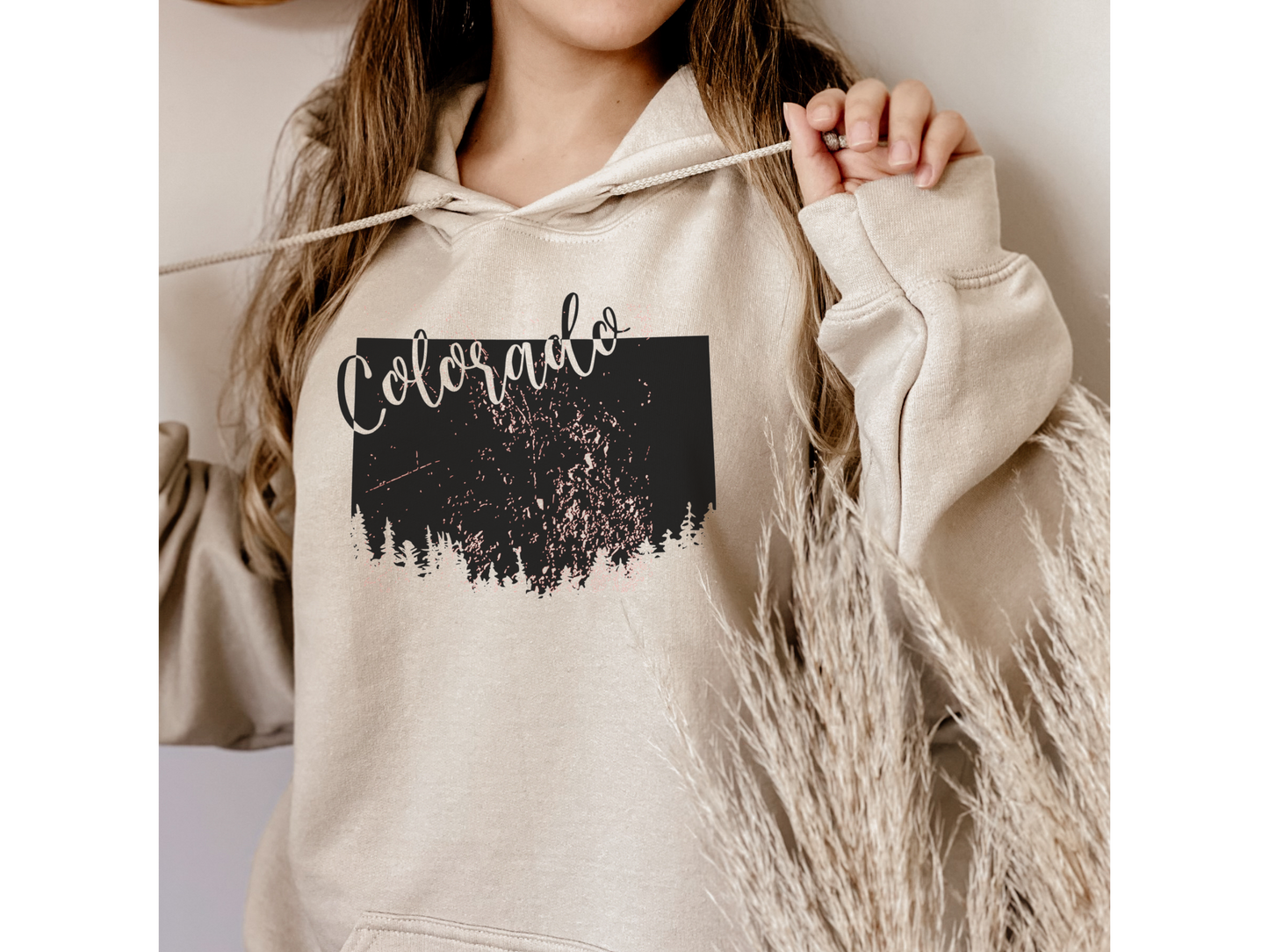 Colorado Mountain Hoodie